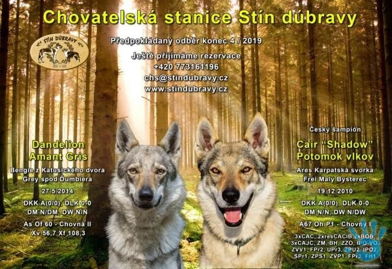 rezervace-stenat-ceskoslovenskeho-vlcaka