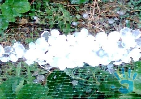 ochranna-siet-pred-krupami-3x10-m