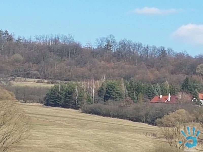 slnecny-pozemok-obklopeny-prirodou