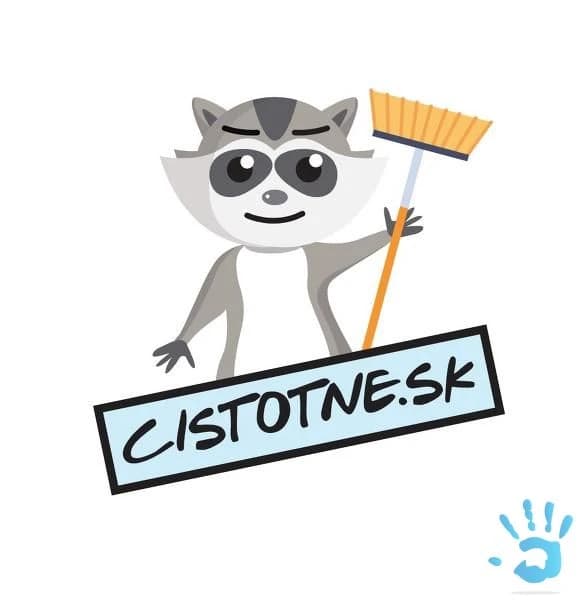cistiace-a-upratovacie-prace-tepovanie
