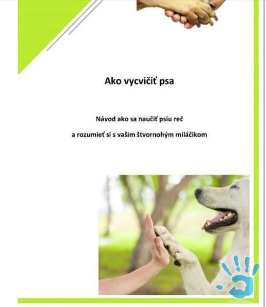 ebook-ako-vycistit-psa