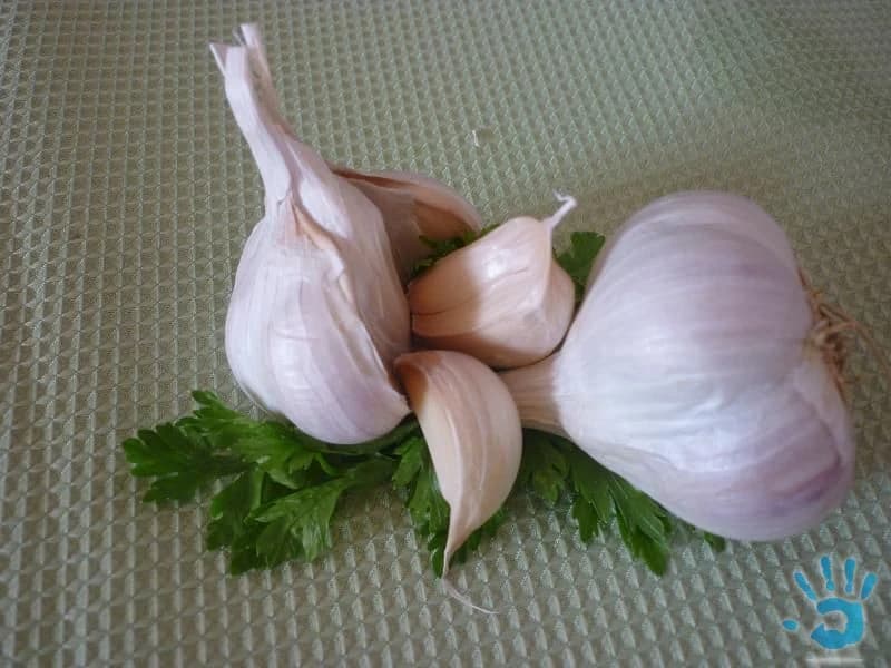 predam-domaci-jesenny-cesnak