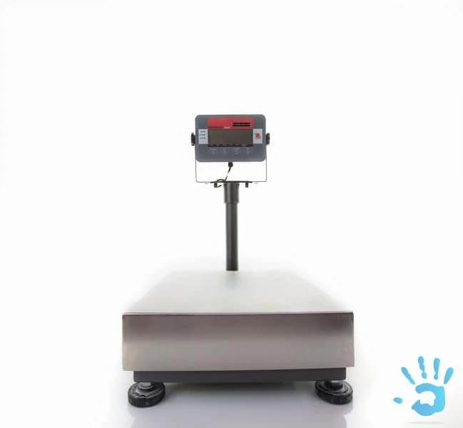 predam-zanovnu-plosinovu-vahu-do-30-kg