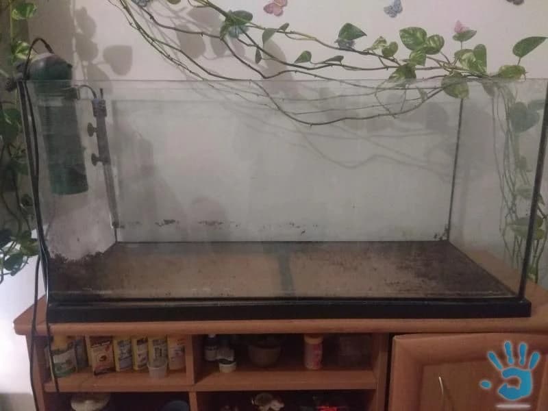 predam-akvarium