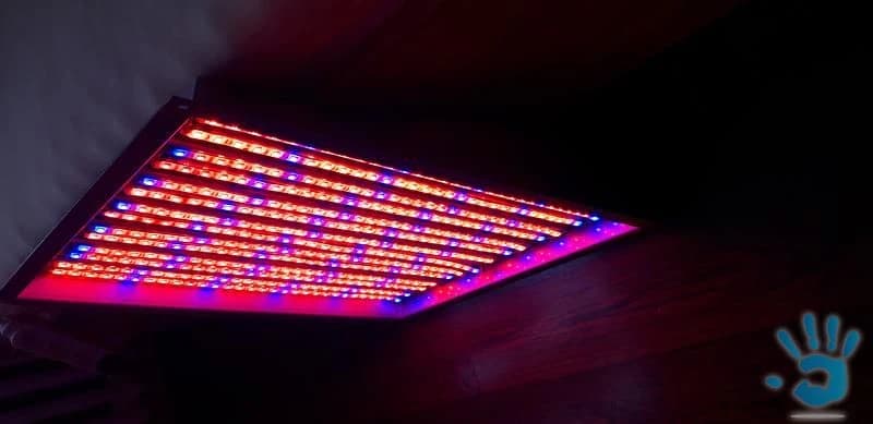predam-hydroponicke-led-osvetlenie