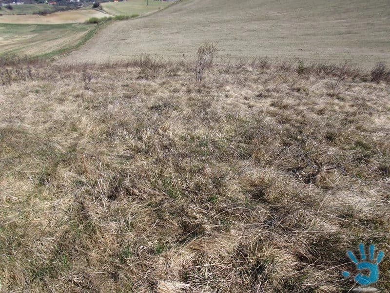 orna-poda-5-4-ha-hviezdoslavov-najlepsia-cena-na-trhu