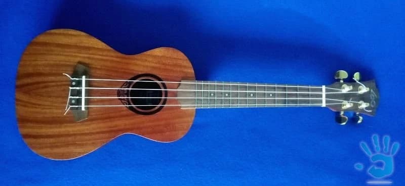 predam-koncert-ukulele-lag-masiv-mahagon