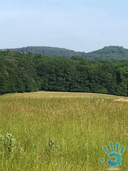 predaj-pozemku-v-stupave-5900-m2