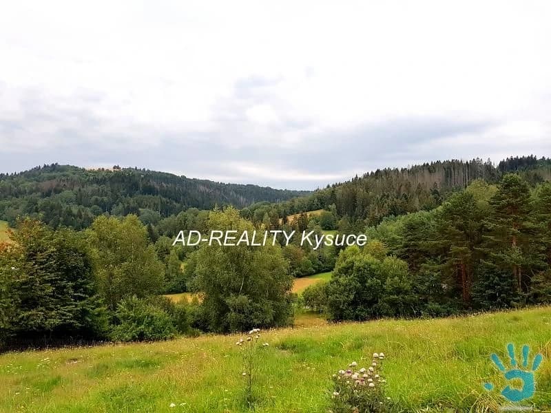 drevenica-v-lone-prirody-obce-zakopcie