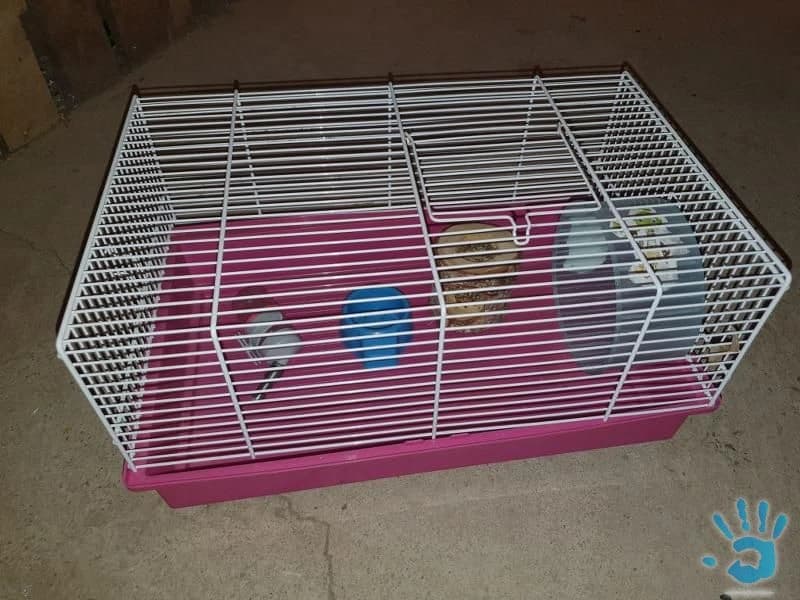 Klietka s prislušenstvom pre škrečka - 1