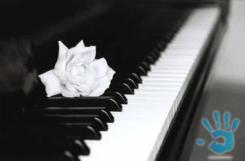 kupim-pianina-alebo-kridla-za-hotove