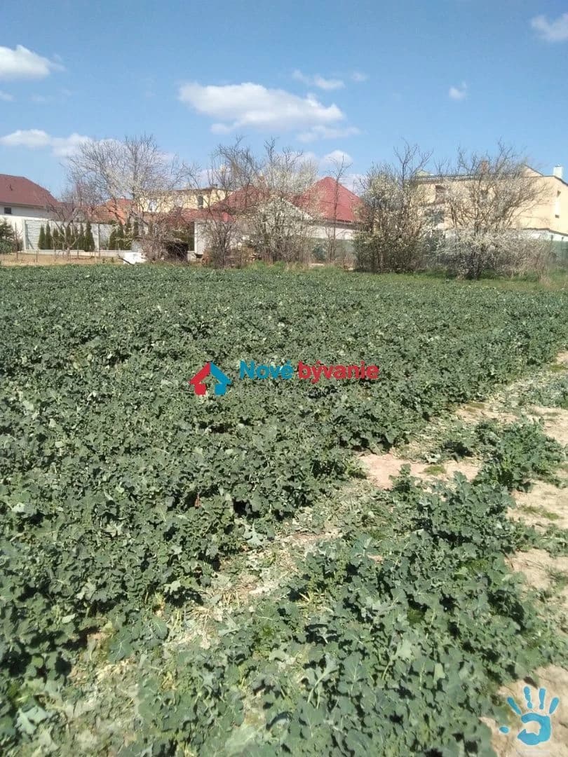 predaj-slnecneho-pozemku-646-m2-v-celadiciach-74-14-mik