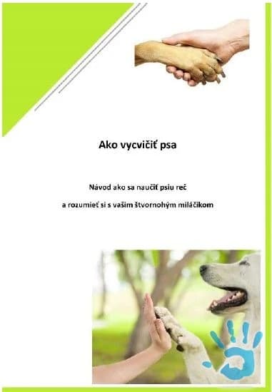 ako-vycvicit-psa
