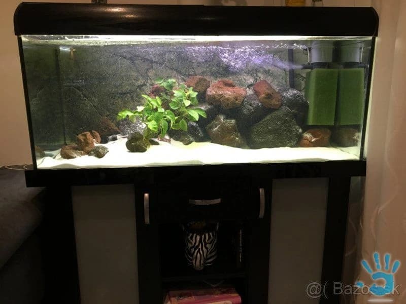 akvarim-300l-spolu-s-prislusenstvom-a-rybkami