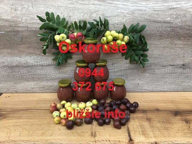 oskorusa-oskoruse-sorbus-domestica