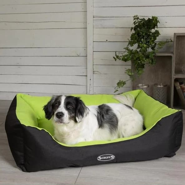 pelech-scruffs-expedition-box-bed-limetkovy-medium-m