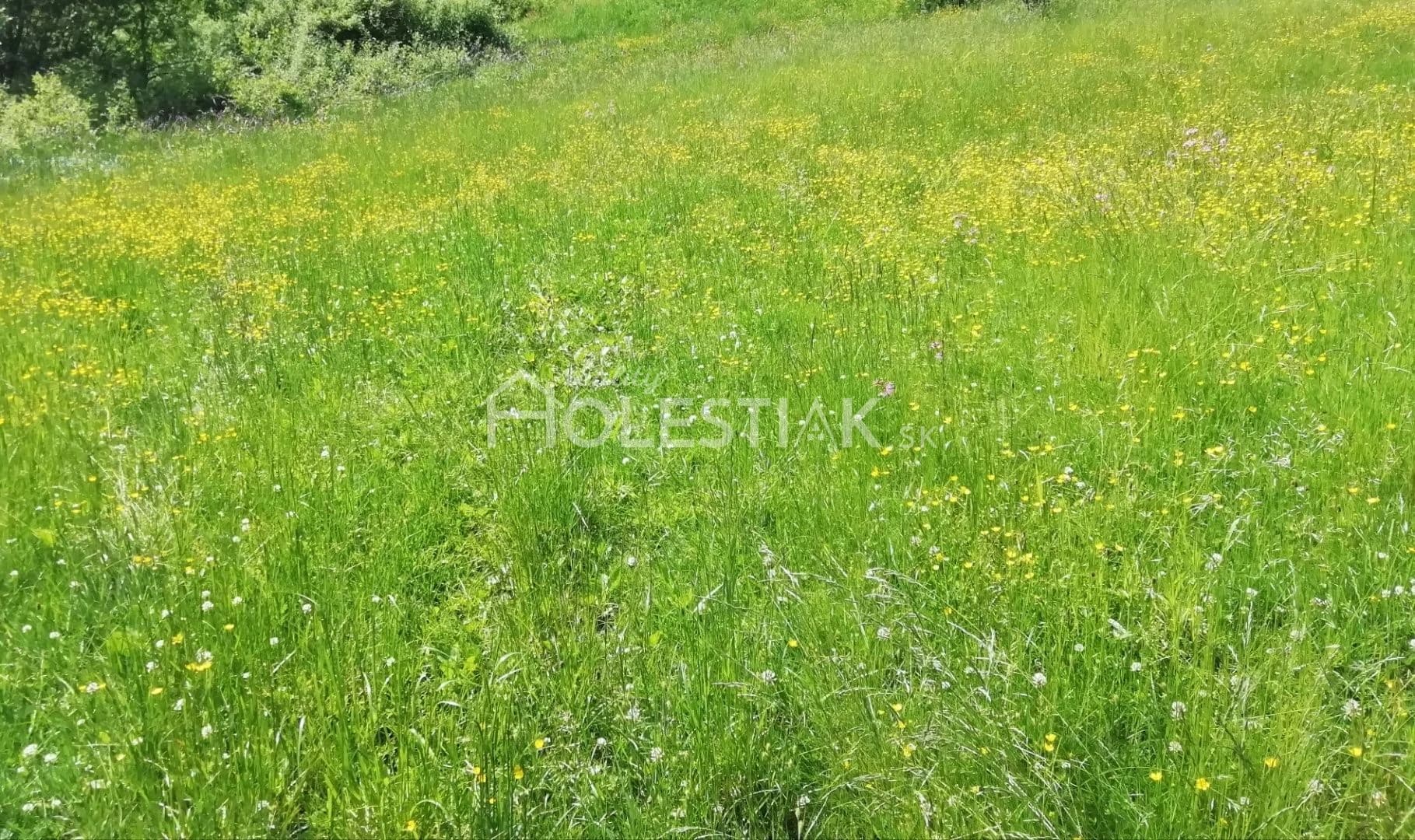 predam-exkluzivne-styri-pekne-pozemky-v-obci-skalite-kysuce