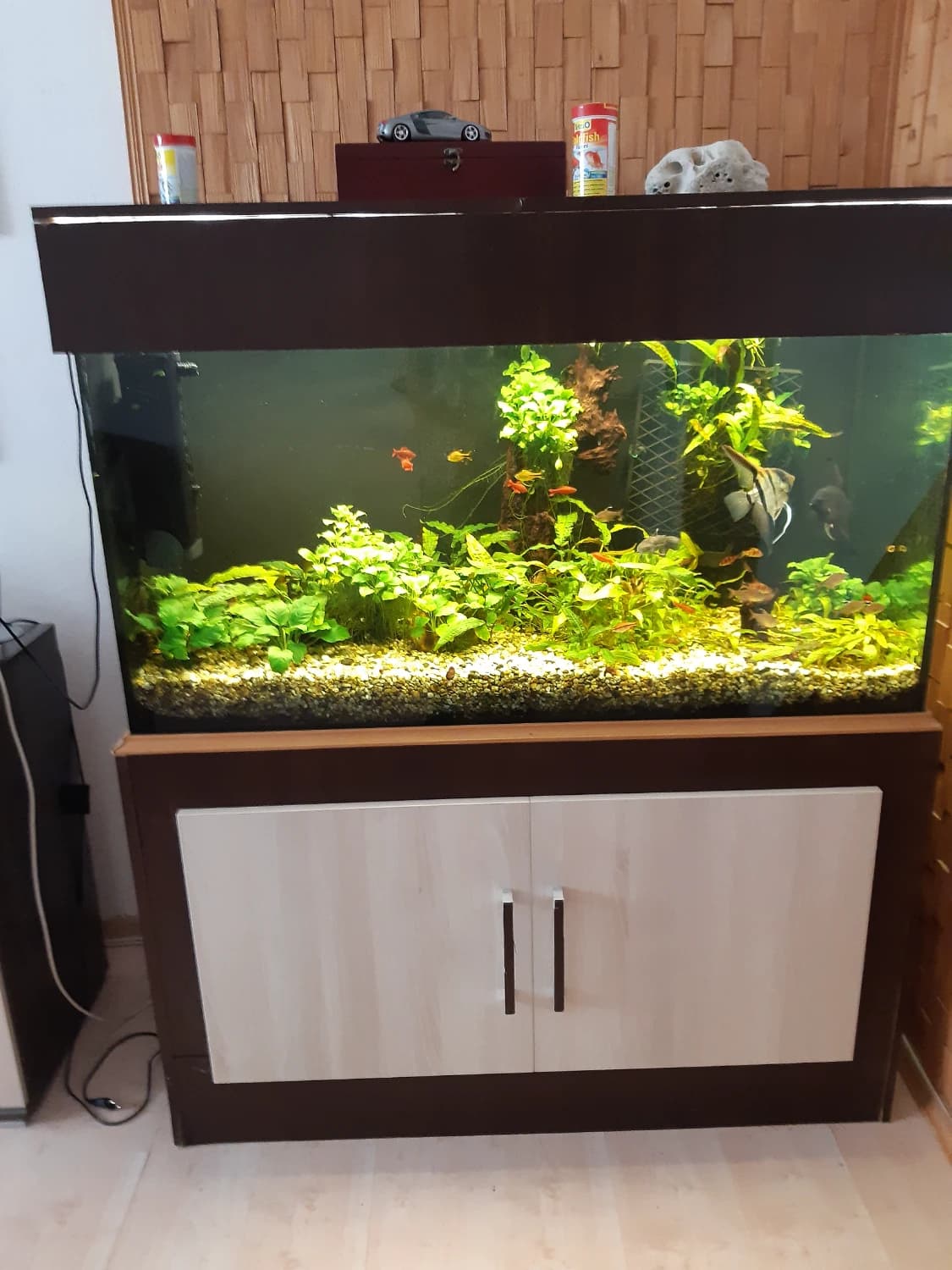 akvarium