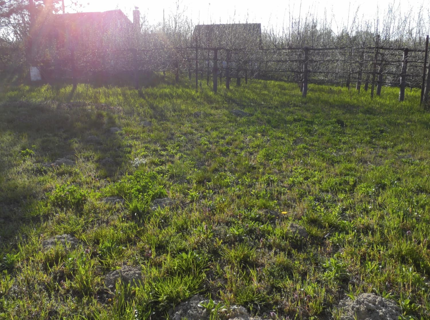 zahrada-pozemok