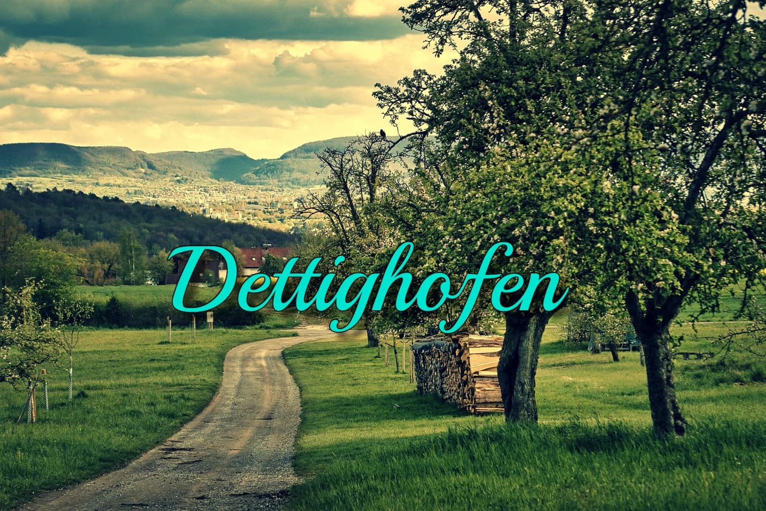 dettighofen-pozicia-pre-zakladnu-nj-s-vodicakom