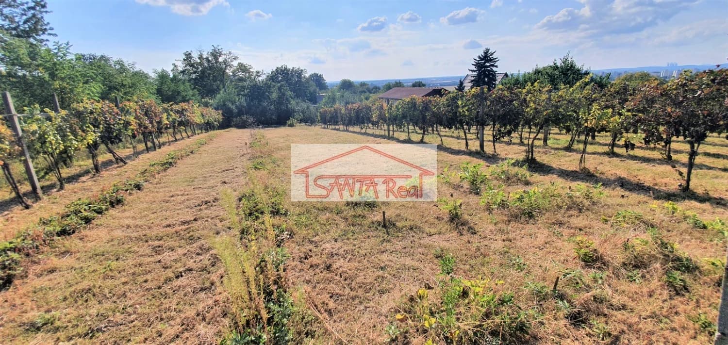 exkluzivne-na-predaj-vinica-v-leviciach-id-429