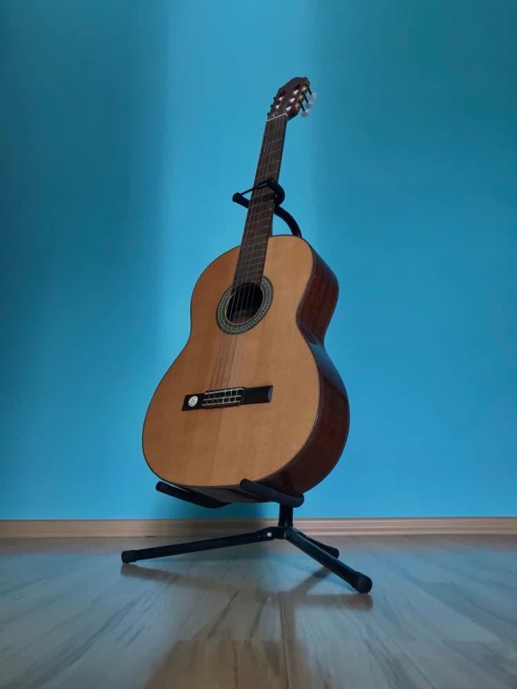 gitara