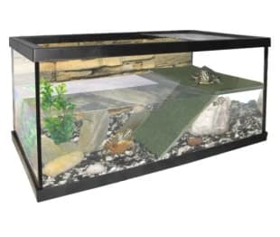 akvarium-pre-vodne-korytnacky