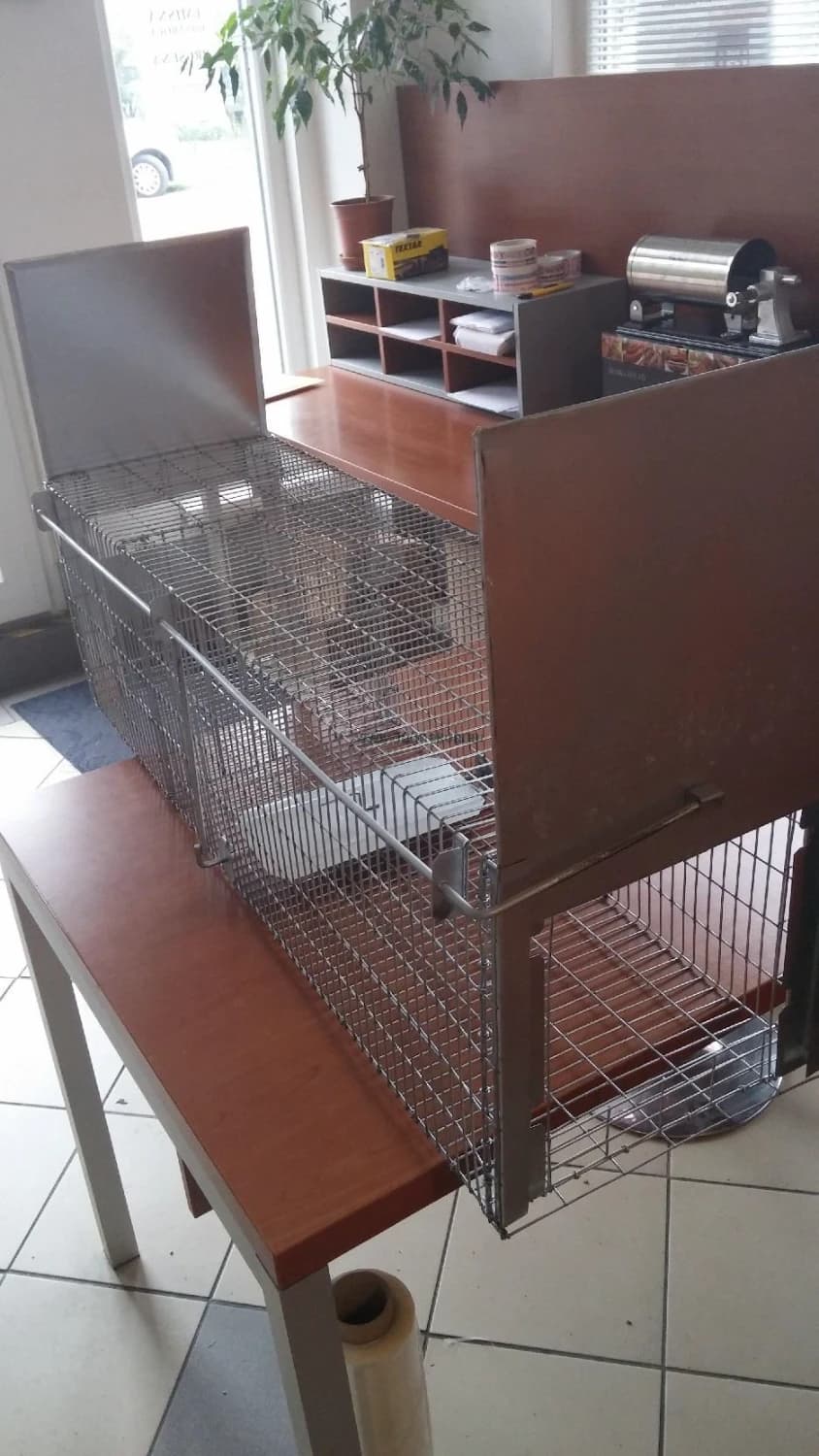 predam-pascu-na-lisky