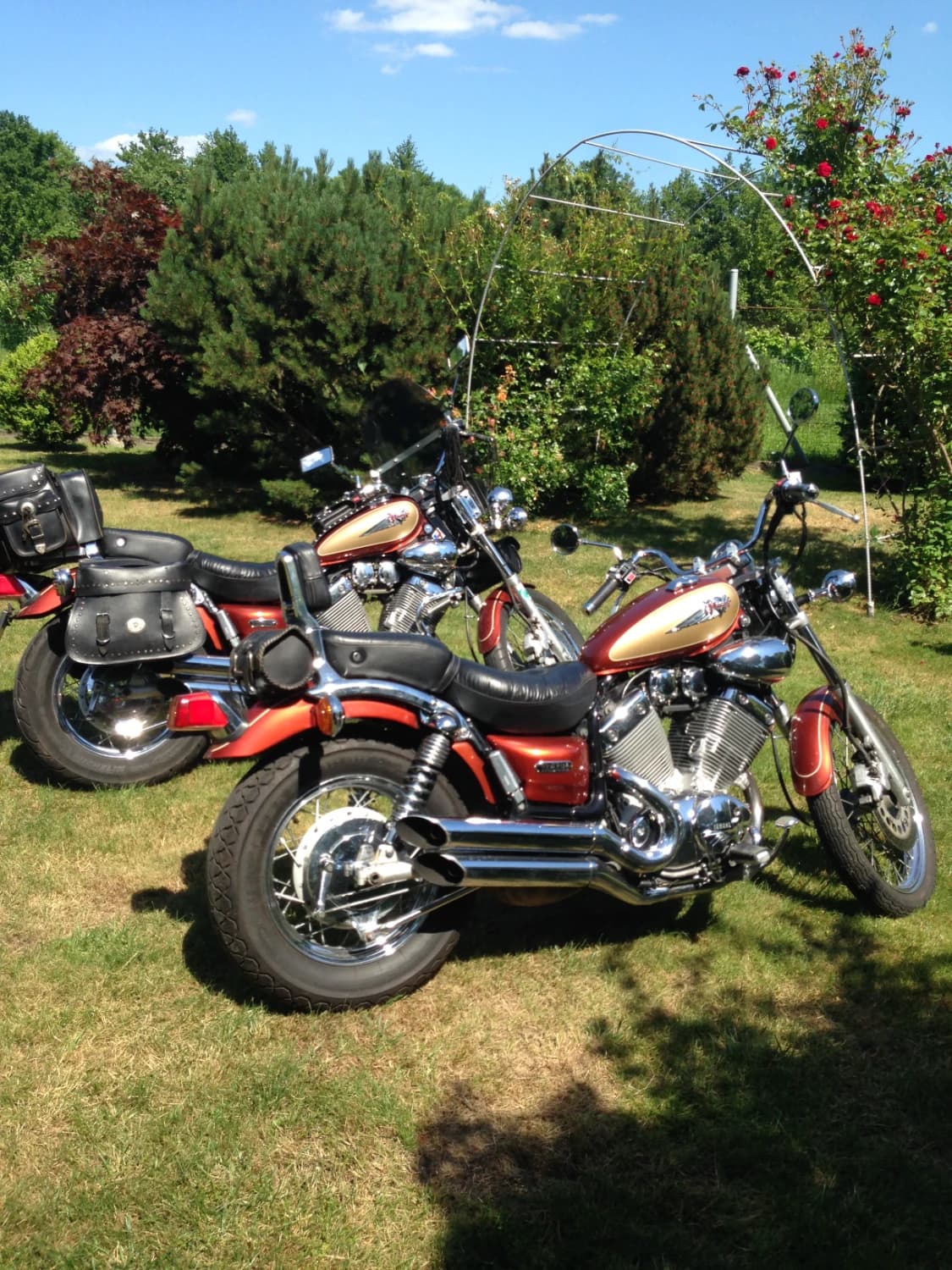 predam-chopper-yamaha-virago