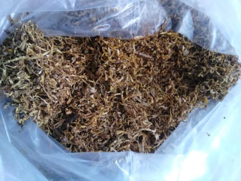 tabak