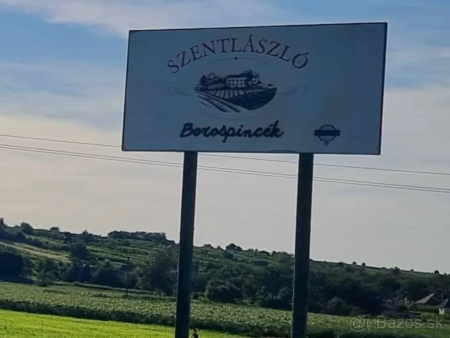 vinica-s-klenbovou-pivnicou