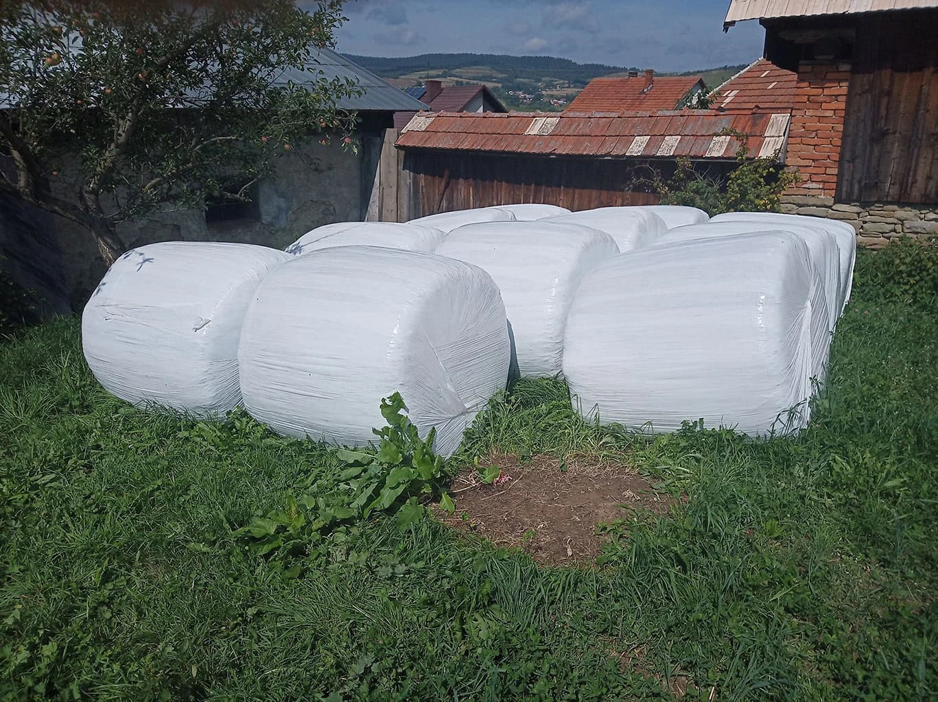 balikove-seno-silaz