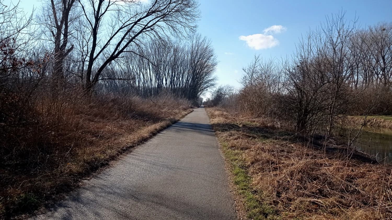 pozemok-s-lesnym-porastom