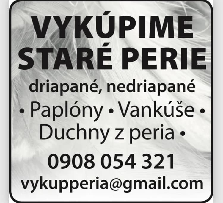 vykupime-stare-perie