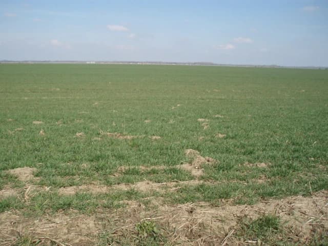 orna-poda-v-rusovciach