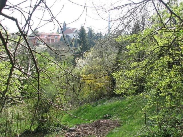 lukrativny-pozemok-pri-slavine