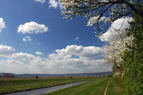 rekreacny-pozemok-v-ivanke-pri-dunaji