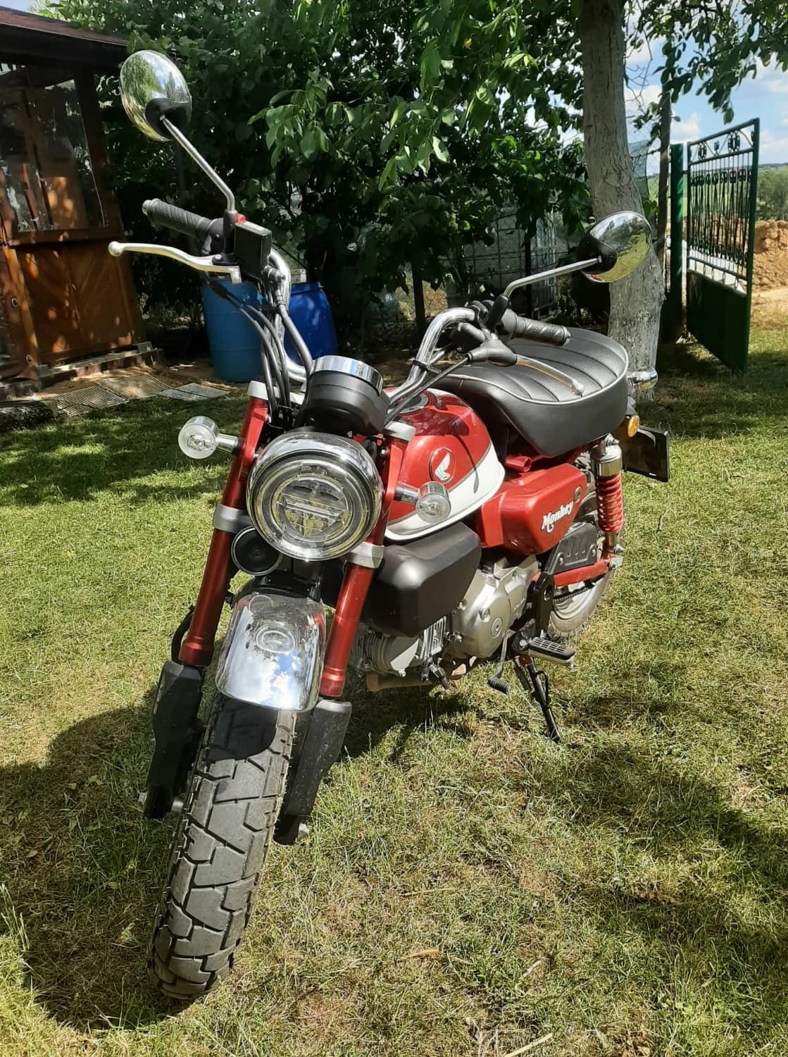 honda-monkey-125