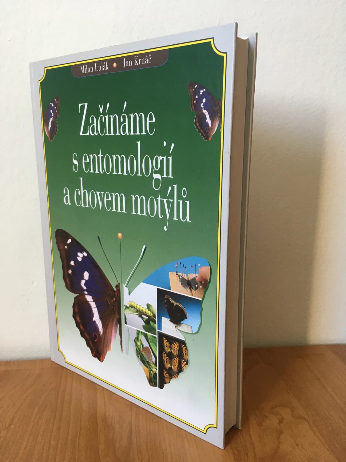 zaciname-s-entomologii-a-chovem-motylu
