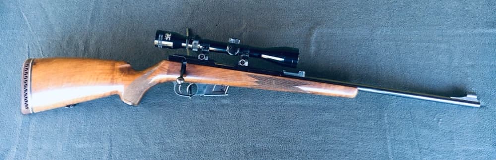 gulovnicka-walther-kal-22-hornet