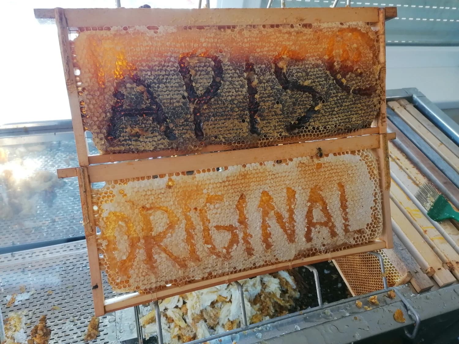 repkovy-pastovany-vceli-med-priamo-od-vcelara