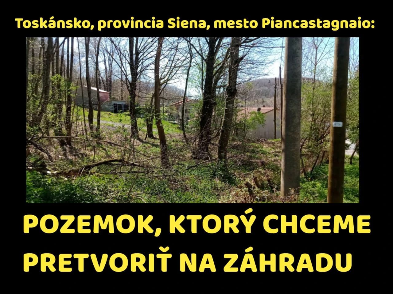 za-pomoc-priatelstvo-dovolenky-a-plodiny