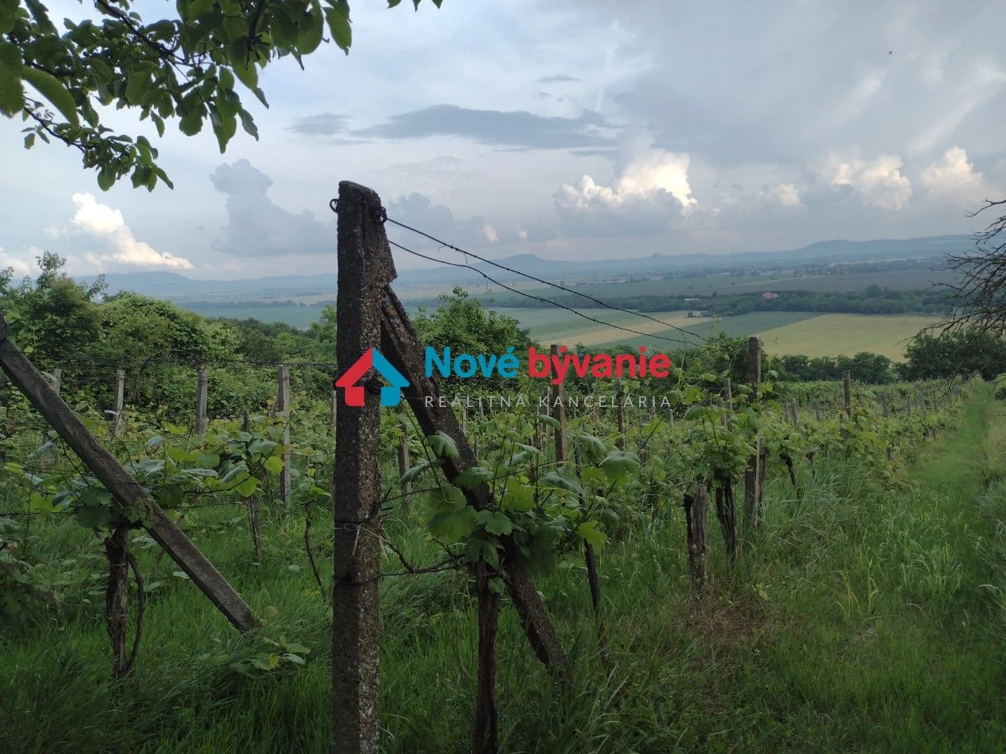na-predaj-vinica-a-velky-murovany-vinicny-dom-belan070-14-frad