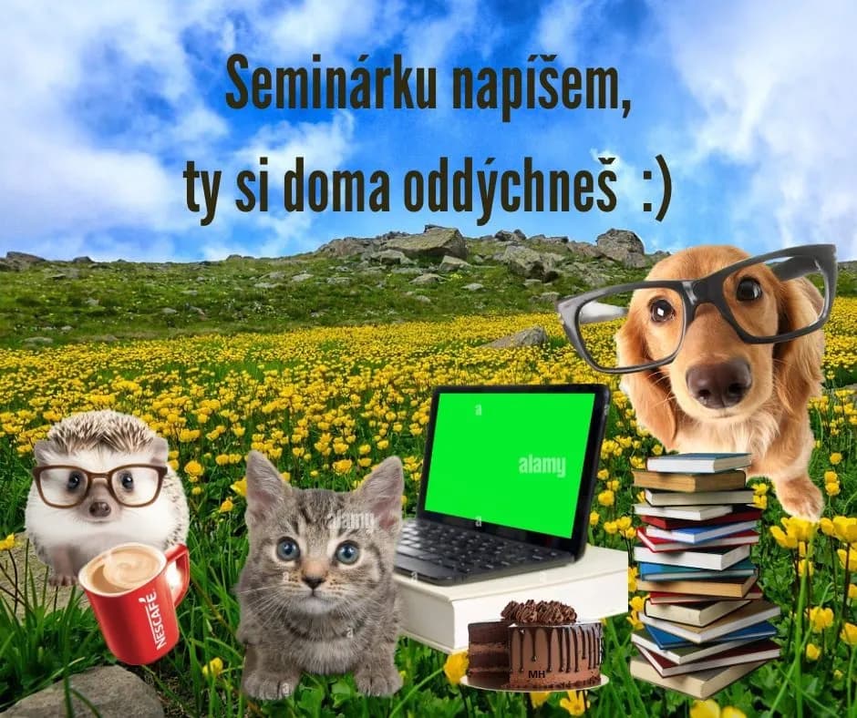 pisanie-preklad-a-uprava-zaverecnych-prac