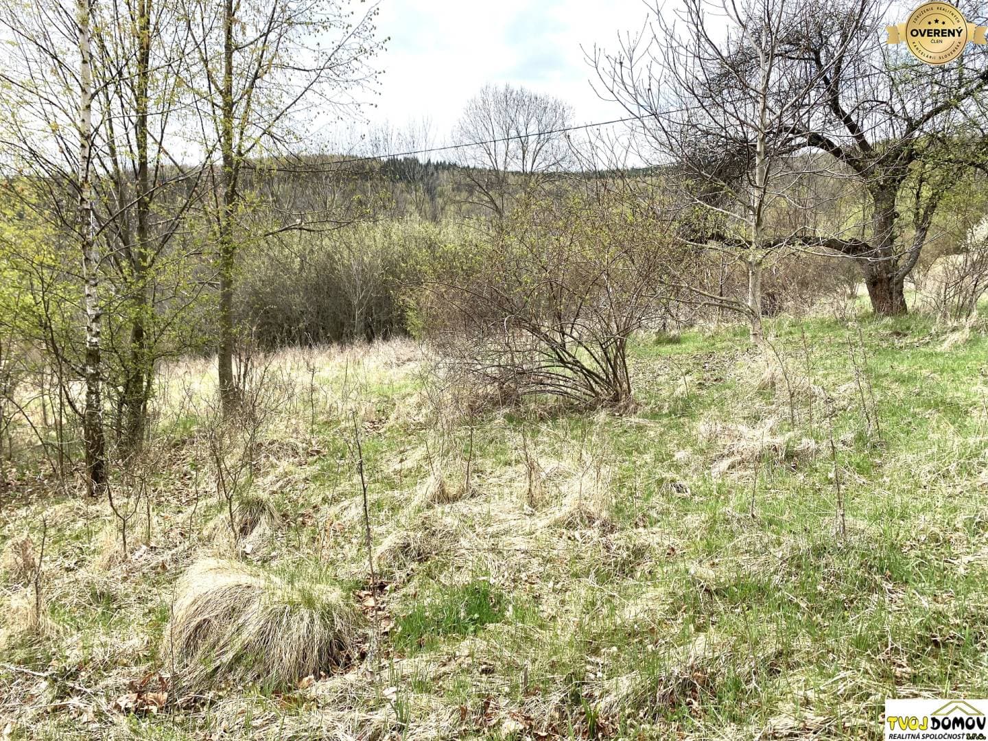 pozemok-vhodny-na-vystavbu-chalupy-horny-tisovnik-okres-detva