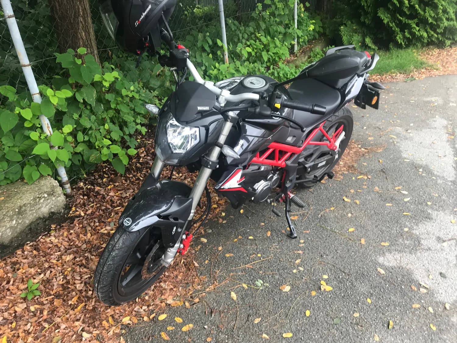 predam-benelli-bn125