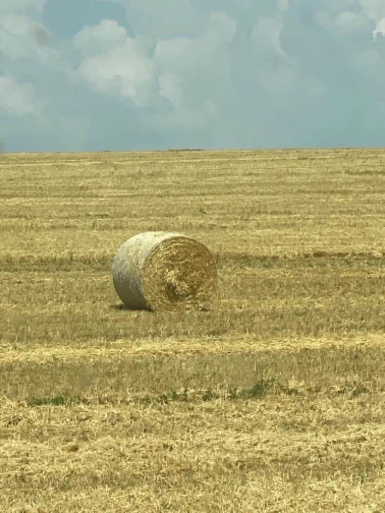 predavam-jacmennu-a-psenicnu-slamu