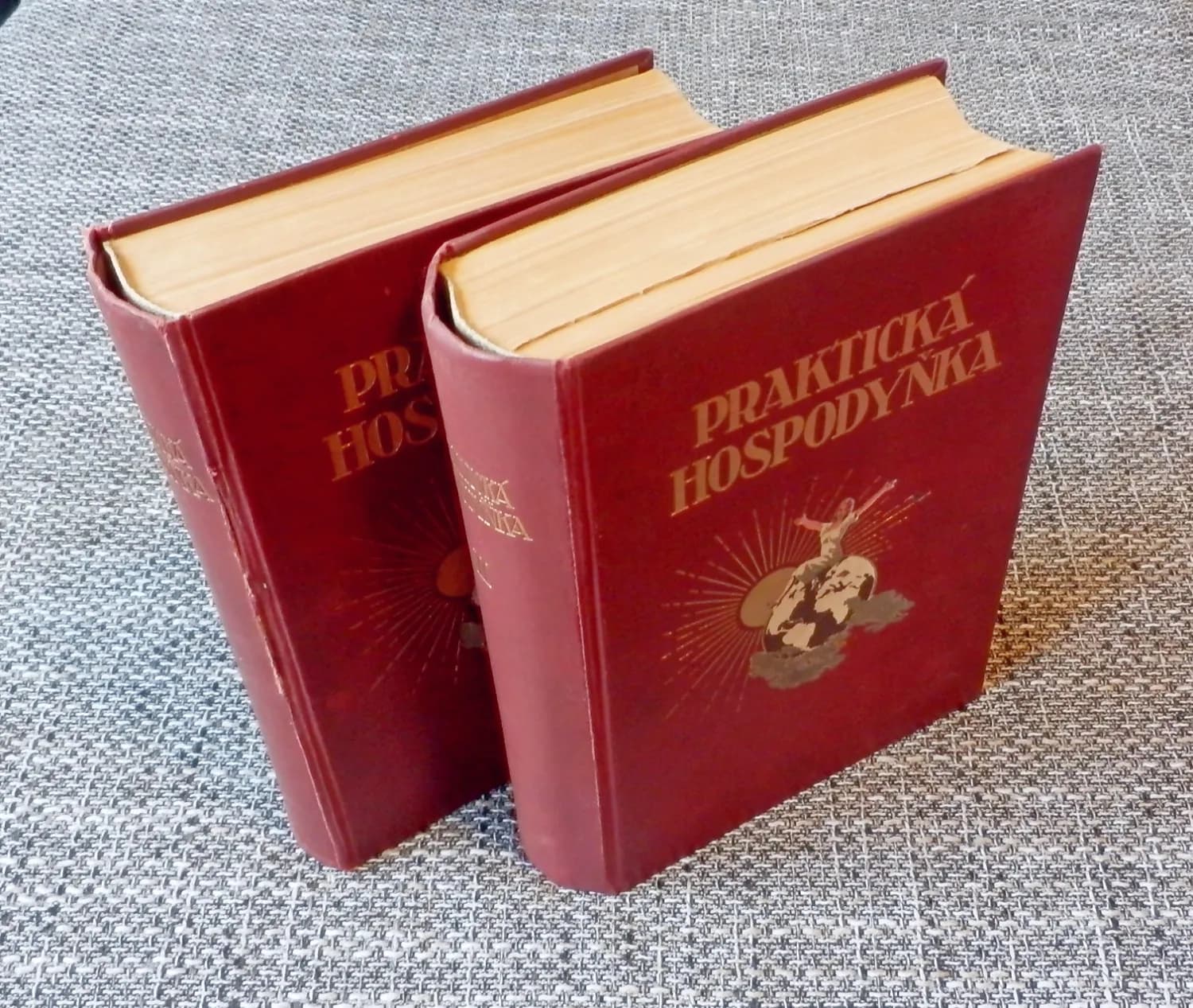 prakticka-hospodynka-starozitne-knihy-z-roku-1928-oba-dily