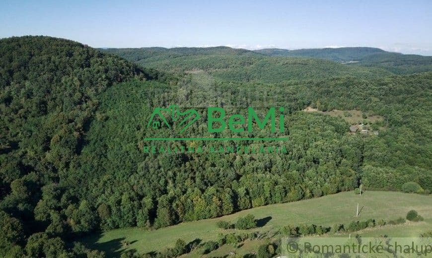 2324241_1