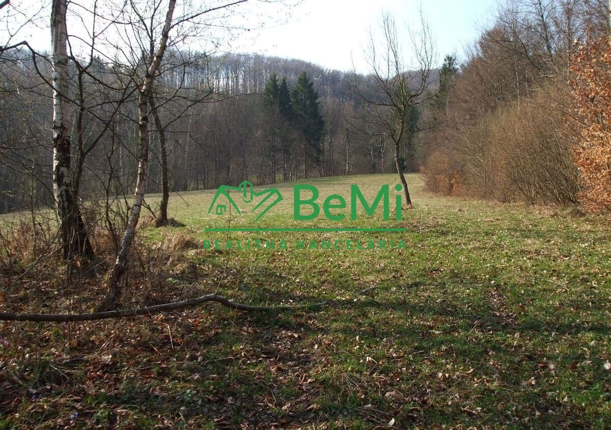 Pozemok v obci Lysica, 48338m2, 075-14-PEMOa - 1